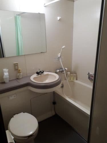 Deluxe Double Room - Smoking