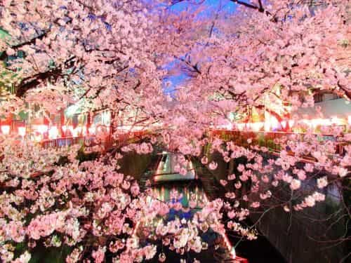 COTO Tokyo Shibuya 4 COTO Tokyo Shibuya 4