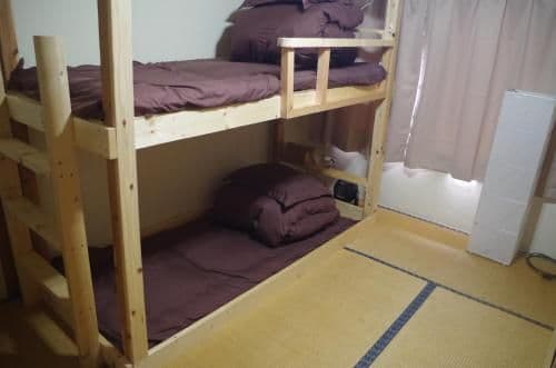 Bunk Bed in Female Dormitory Room