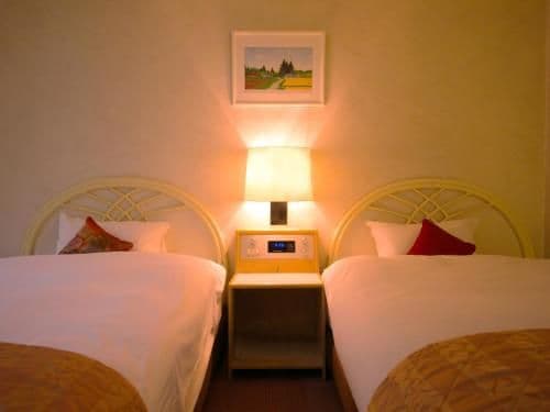 Twin Room - Non-Smoking
