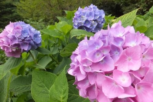 Grand Hotel Rokko Sky Villa3