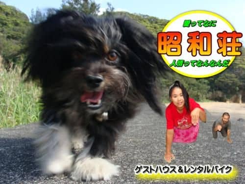 Amami Guest House showa-so Amami Guest House showa-so
