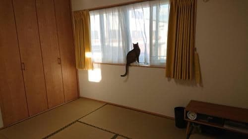 Japanese-Style Room 2