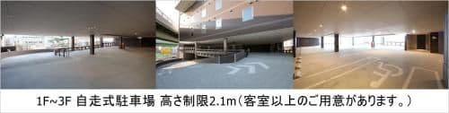 Suite with Private Pool - Non-Smoking