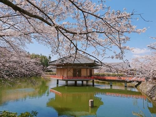 Guesthouse Hajimari4