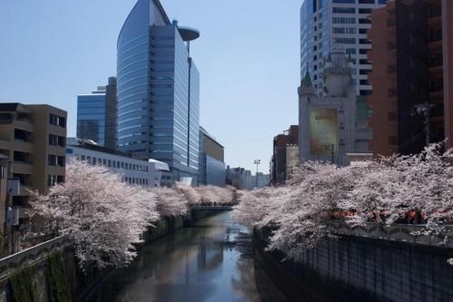 Meguro Emperor (Adult Only)2