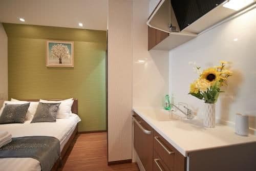 Superior Apartment