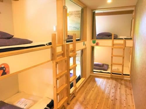 Superior Bed in Deluxe Mixed Dormitory Room - Adult Only
