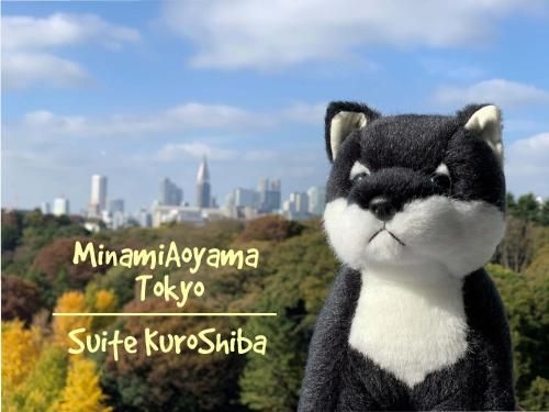 Minami-Aoyama-1st0
