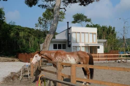 Hotel Forest Villas Nansou no Oka Hotel Forest Villas Nansou no Oka