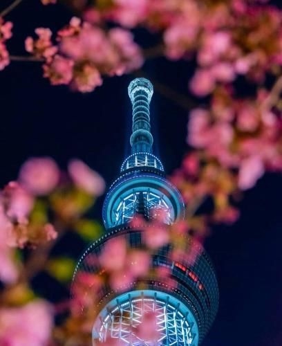 nestle tokyo shinjuku family house 103 (Nestle Tokyo Shinjuku Family House 103)1