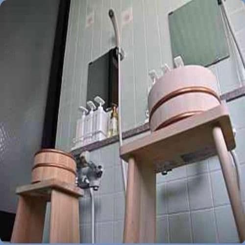 Japanese-Style Room