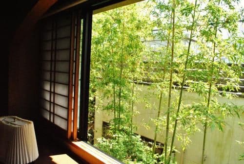Room with Tatami Area and Shared Bathroom