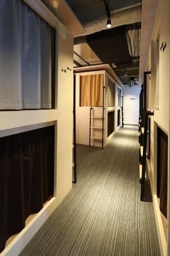 Bunk Bed in Mixed Dormitory Room