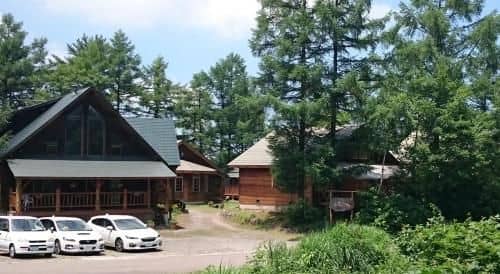 Log Hotel Early Bird Log Hotel Early Bird