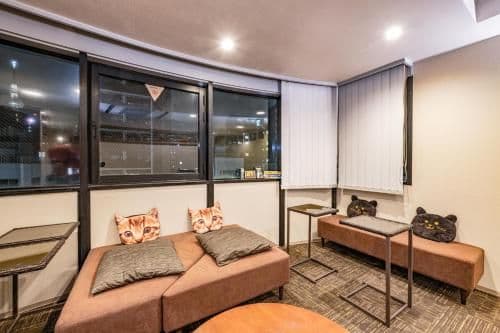 Economy Double or Twin Room