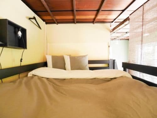 Double Bed in Mixed Dormitory Room