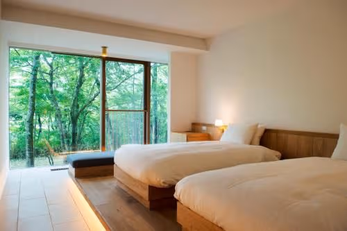 Superior Double or Twin Room
