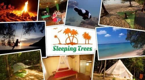 Sleeping Trees Sleeping Trees