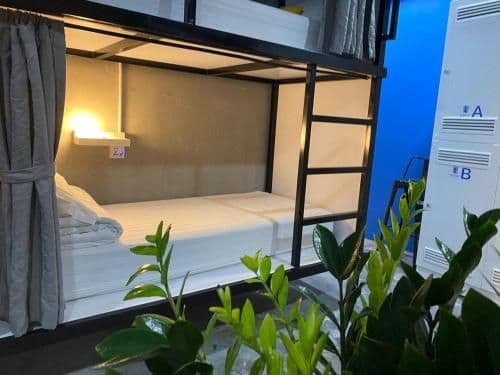 Bunk Bed in Mixed Dormitory Room