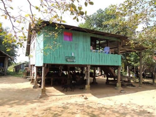 Great Hornbill Homestay Great Hornbill Homestay