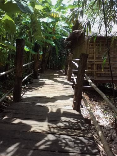Tree Lodge Banlung3