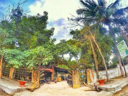 The MangoTree II Guesthouse The MangoTree II Guesthouse