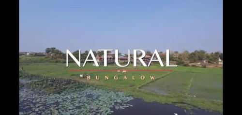 Natural bungalows0