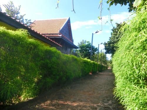 Bungalow with Garden View