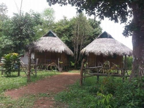 Wild Elephant Bungalow Wild Elephant Bungalow
