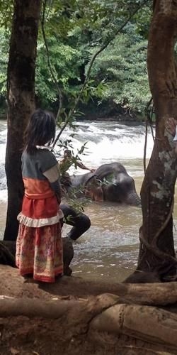 Mondulkiri Hills - Nature Homestay2