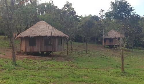 Gibbon Lodge Gibbon Lodge