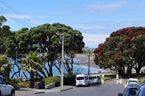 THE BULLER BUNGALOW - YOU WILL FALL IN LOVE (The Buller Bungalow - You Will Fall in Love)3