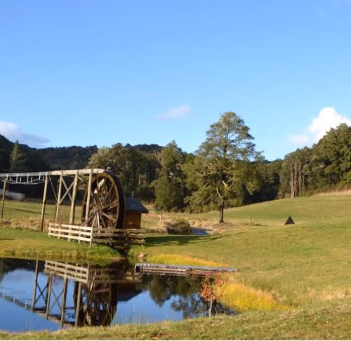 Ahaura Lodge & Waterwheel Farm1