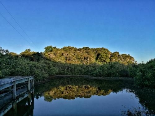 Aroha Island3