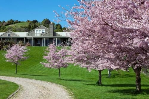 124onbrunswick bed & Breakfast0
