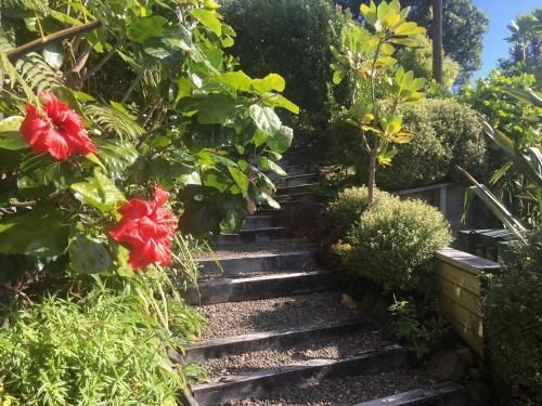 Fantail B&B4
