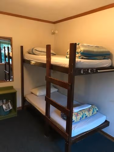 Bed in 3-Bed Mixed Dormitory Room with Shared Bathroom
