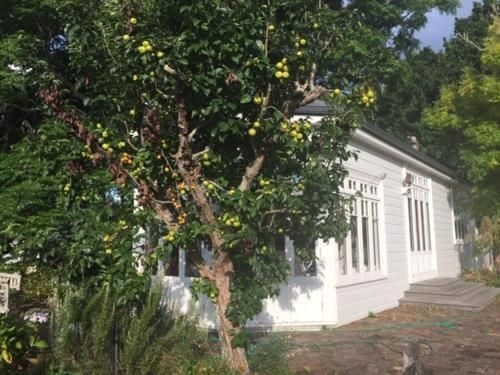 Rosemantic Cottage4