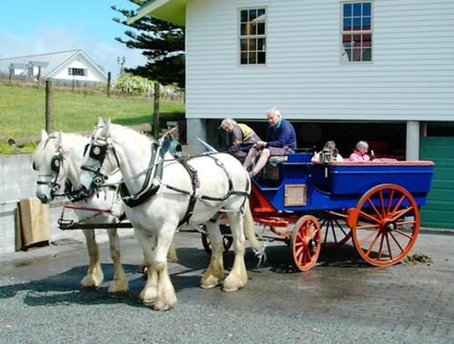 The Carriage House-Bay of Islands3