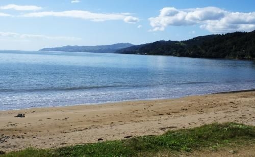 เท ปูรู บีช ลอดจ์ (Te Puru Beach Lodge)4