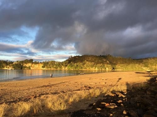 Ocean Serenity Apartments Whitianga3