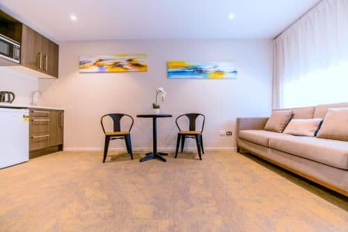 Deluxe One Bedroom Apartment