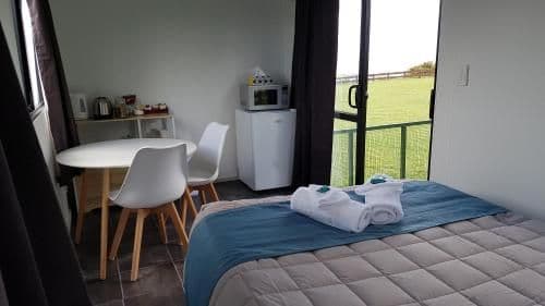 Studio Cabin with Lake View