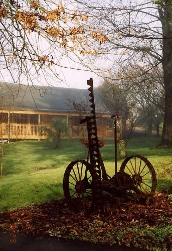 Vineyard Cottages - Kumeu1