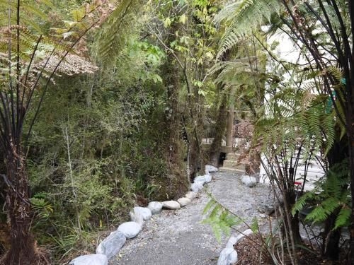 Forest View Franz Josef1