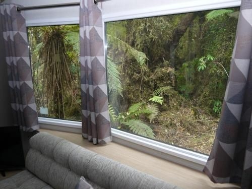 Forest View Franz Josef0