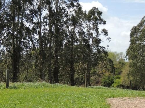 Essene Country Lodge2