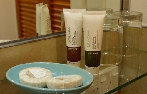Tonix Boutique Accommodation1