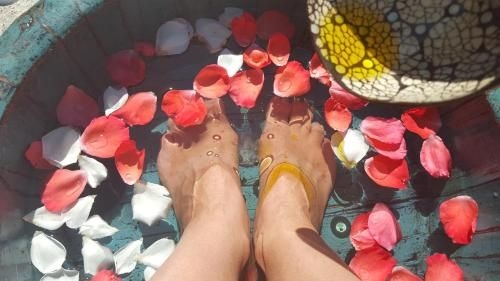 9 Senses Wellness Retreat2